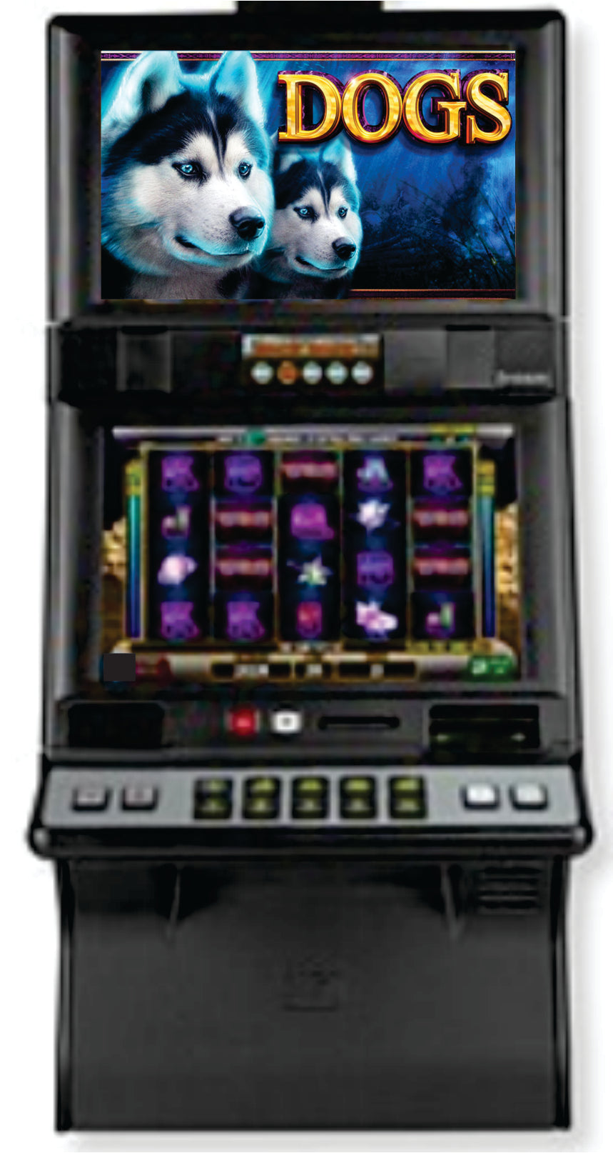 IGT Dogs Video Slot Machine