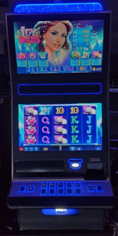 IGT Icy Wilds Video Slot Machine