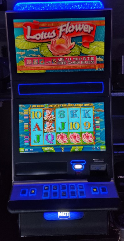IGT Lotus Flower Video Slot Machine