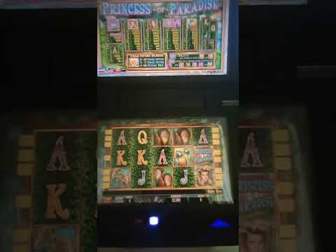 IGT Princess of Paradise Slot Machine