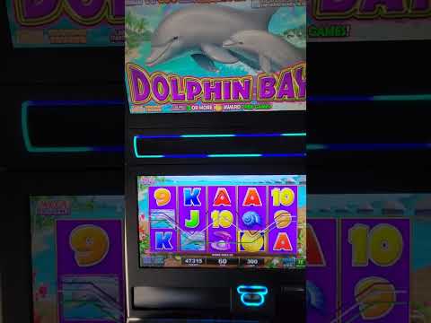 IGT Dolphin Bay Video Slot Machine