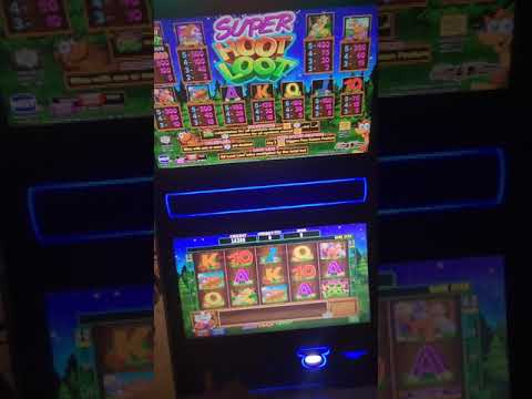 IGT Super Hoot Loot Video Slot Machine