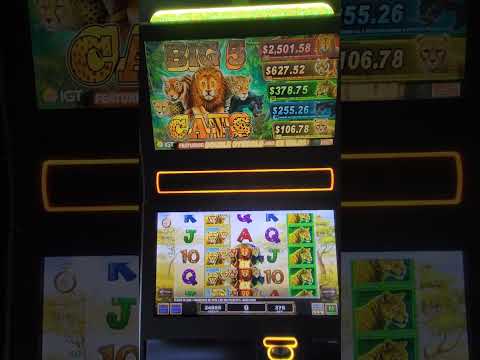 IGT Big 5 Cats Video Slot Machine