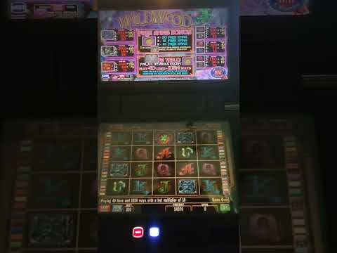 IGT Wildwood Video Slot Machine