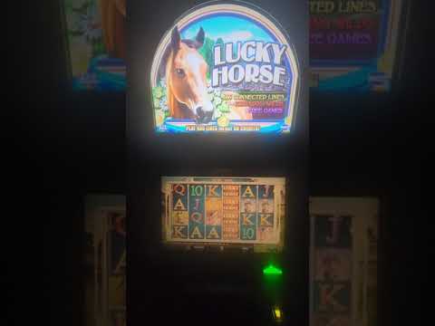IGT Lucky Horse Video Slot Machine