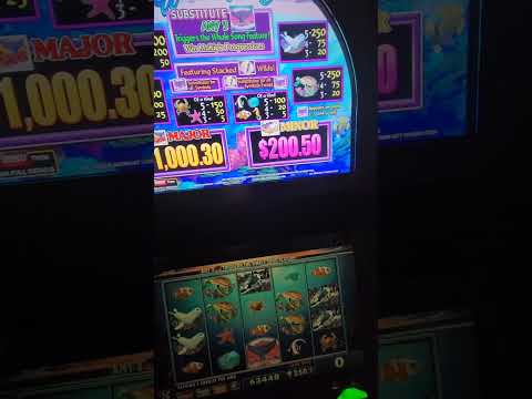 IGT Whale Song Video Slot Machine