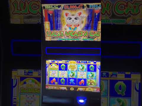 IGT Lucky Wealth Cat Video Slot Machine