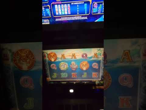 IGT Dragon Fairy Video Slot Machine