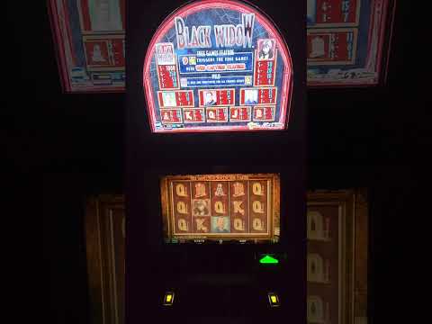 IGT Black Widow Video Slot Machine