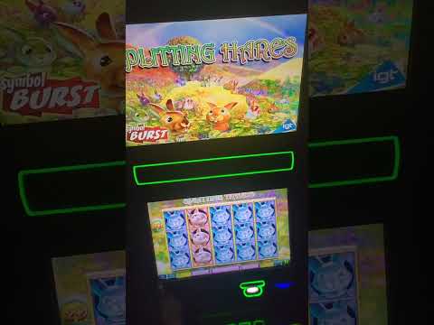 IGT Splitting Hares Video Slot Machine
