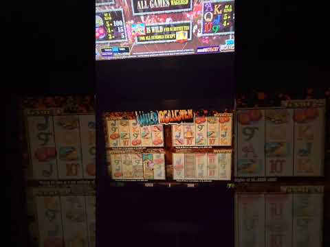 IGT Capistrano Video Slot Machine