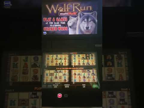 IGT Wolf Run 4 Play. Video Slot Machine