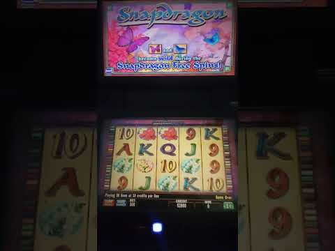 IGT Snapdragon Video Slot Machine