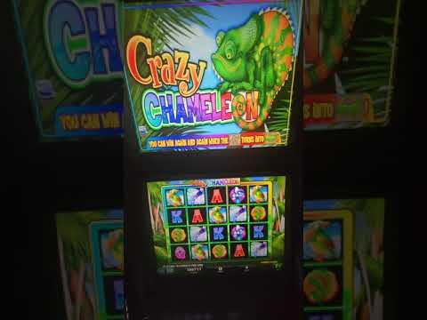IGT Crazy Chameleon Video Slot Machine