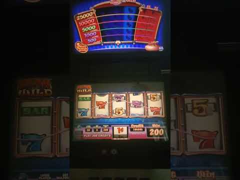 IGT Boingy Beans Wild Beans Video Slot Machine