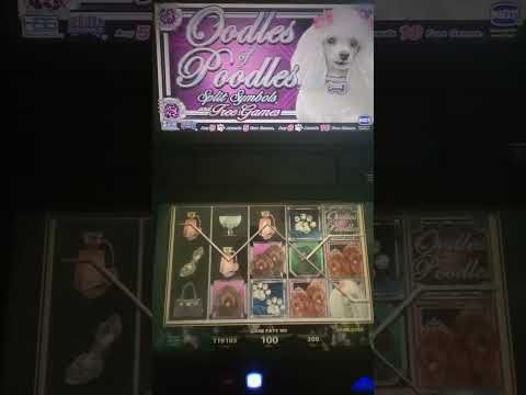 IGT Oodles of Poodles Video Slot Machine