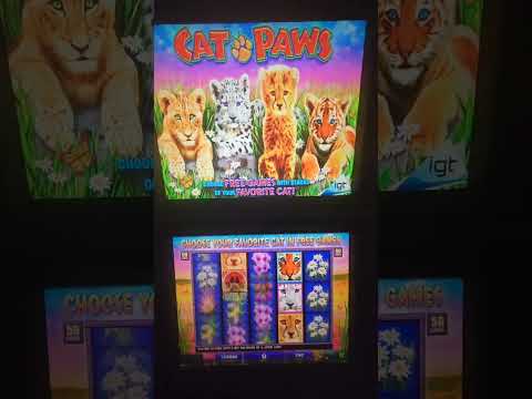 IGT Cat Paws Video Slot Machine