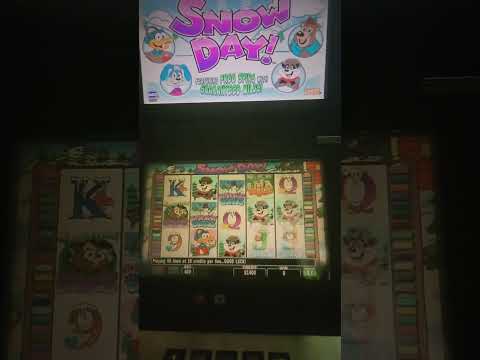 IGT Snow Day Video Slot Machine