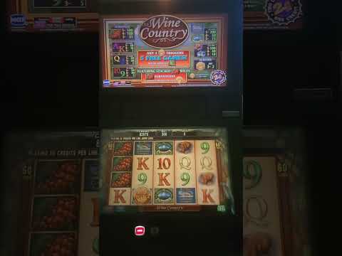 IGT Wine Country Video Slot Machine