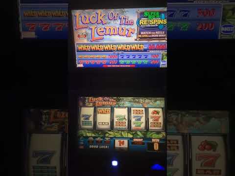 IGT Luck of the Lemur Video Slot Machine