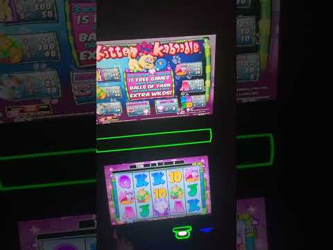 IGT The Whole Kitten Kabootle Video Slot Machine