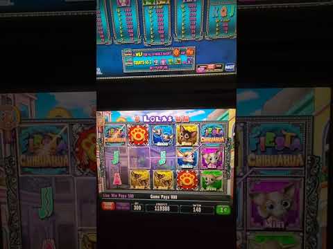 IGT Fiesta Chihuahua Video Slot Machine