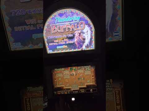 IGT Thundering Buffalo Video Slot Machine