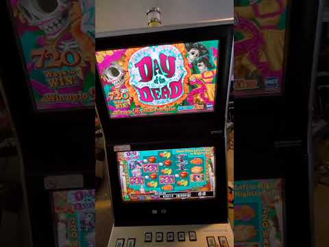 IGT Game King 8.3R - G20