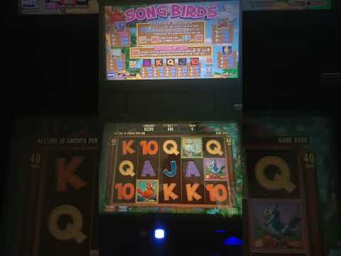 IGT Song Birds Video Slot Machine