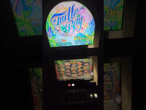 IGT Turtle Bay Video Slot Machine