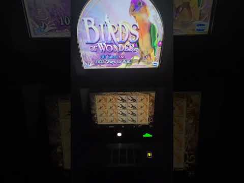 IGT Birds of Wonder Video Slot Machine