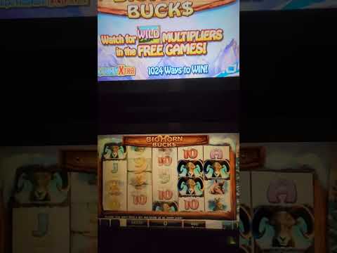 IGT Bighorn Bucks Slot Machine
