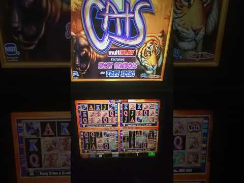 IGT Cats Multi-Play (4 Play) Video Slot Machine Game