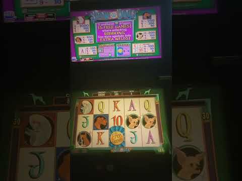 IGT Show Dogs Video Slot Machine