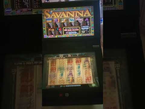 IGT Savanna Video Slot Machine