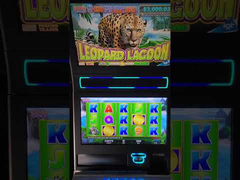 IGT Leopard Lagoon Video Slot Machine