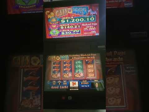 IGT Cats & Dogs Video Slot Machine