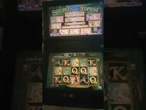 IGT Secret of the Forest Video Slot Machine