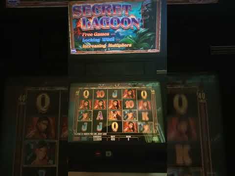 IGT Secret Lagoon Video Slot Machine