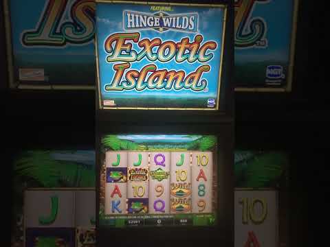 IGT Exotic Island Video Slot Machine