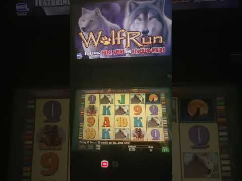 IGT Wolf Run Video Slot Machine