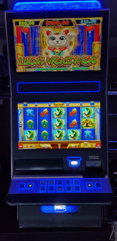 IGT Lucky Wealth Cat Video Slot Machine