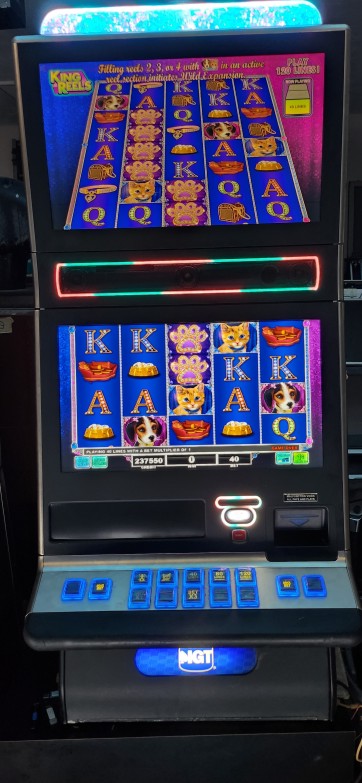 IGT Lulu & Luigi Video Slot Machine