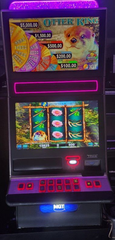 IGT Otter King Video Slot Machine