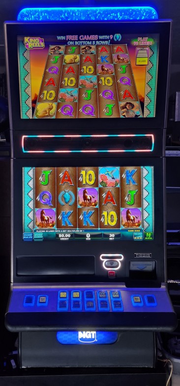 IGT Turquoise Princess Video Slot Machine