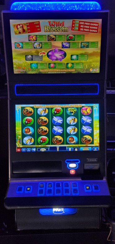 IGT Wild Blossom Video Slot Machine