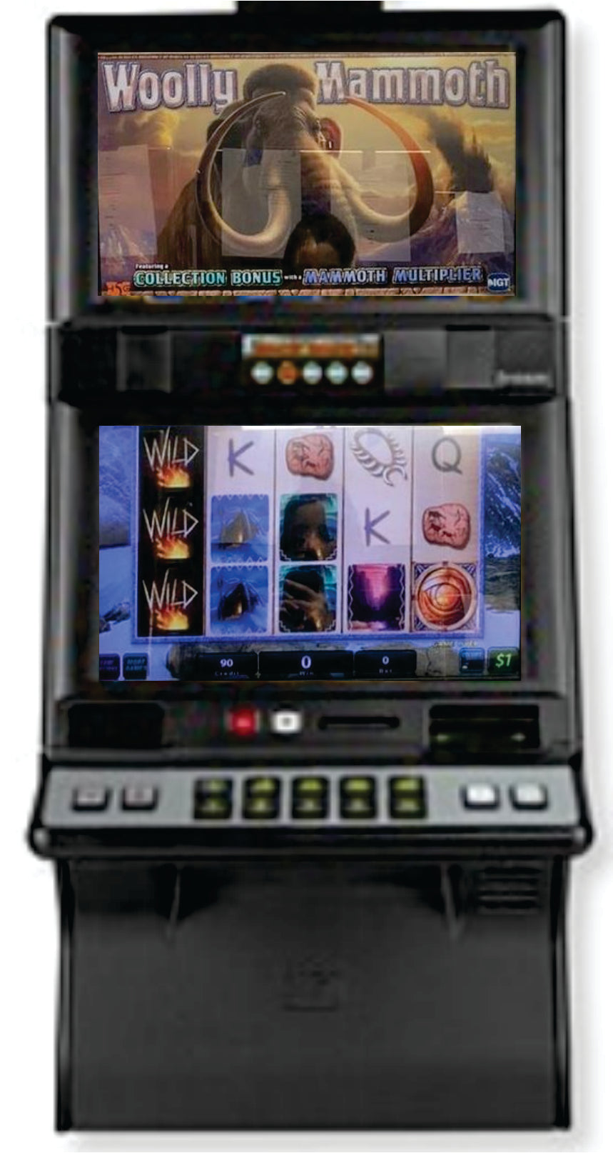 IGT Wooly Mammoth Video Slot Machine