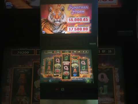 IGT Sumatran Storm Video Slot Machine