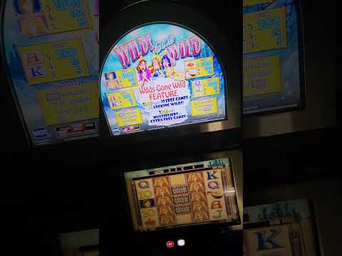 IGT Wilds Gone Wild Video Slot Machine