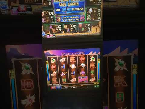 IGT Fortune Hunter Video Slot Machine